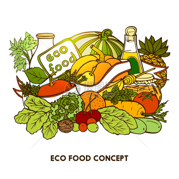手绘生态食品手绘生态食品与彩色蔬菜,水果,牛奶植物油瓶矢量插图图片