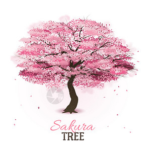 现实的樱花树现实的粉红色开花春天日本樱花樱桃树矢量插图图片