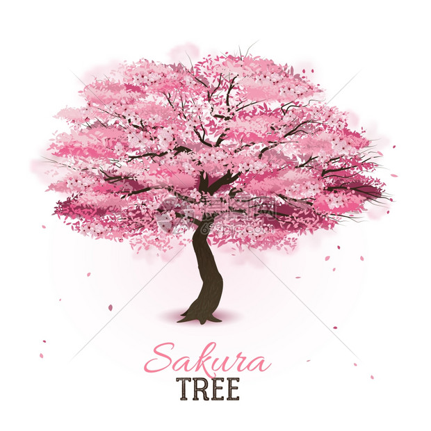 现实的樱花树现实的粉红色开花春天日本樱花樱桃树矢量插图
