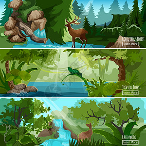 森林景观水平横幅格林伍德热带森林景观3横横幅蜥蜴鹿针叶树抽象孤立矢量插图背景图片