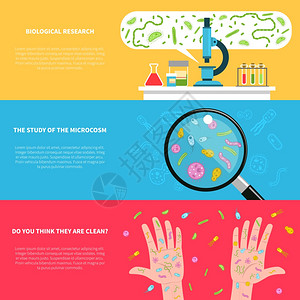 微生物学横幅套微生物学水平横幅与生物研究元素平分离矢量插图图片