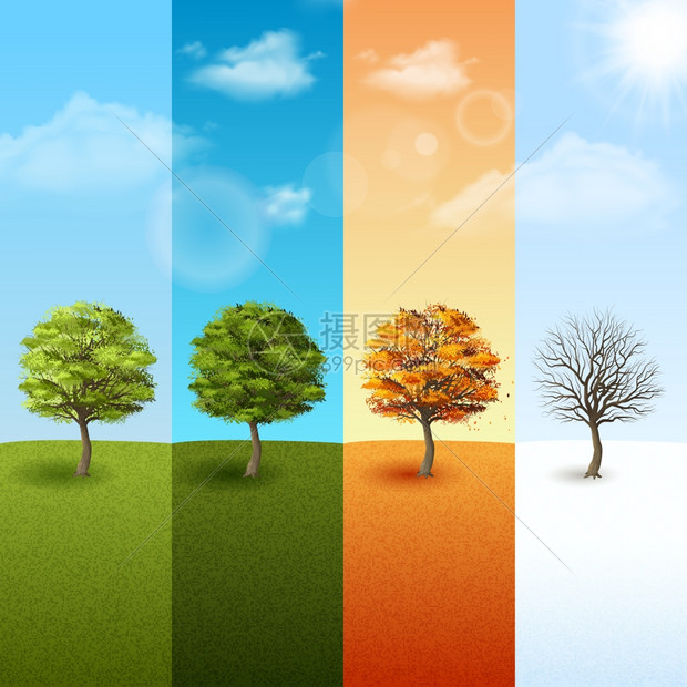 四季树横幅套四季垂直横幅与树木蓝天背景矢量插图图片