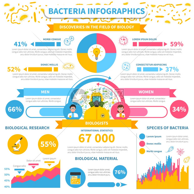 细菌信息图集细菌信息图集与医学测试研究图表矢量插图图片