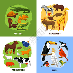 卡通2x2动物园图片卡通2x2动物园动物图像集由爬行动物鸟类野生动物农场动物矢量插图成图片