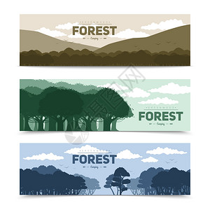 树林横幅树林横幅同的自然场景孤立矢量插图背景图片