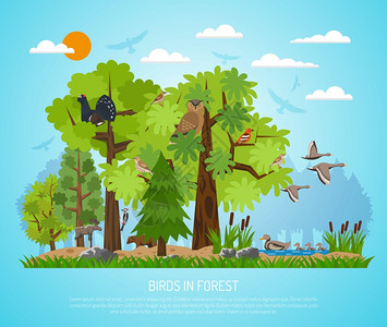森林中鸟类的海报森林海报与同的树木池塘,各种鸟类少数动物的蓝色背景平矢量插图图片