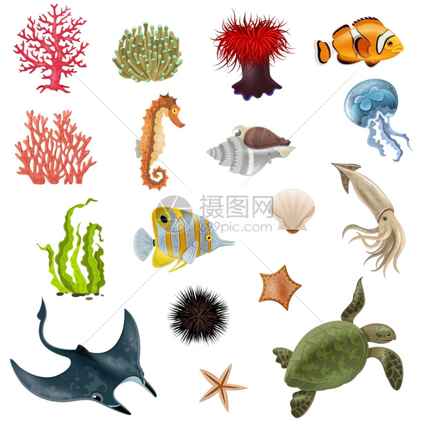 海洋生活卡通图标套海洋生物卡通图标与鱼珊瑚海藻外壳无脊椎动物矢量插图插画图片下载 正版图片 摄图网 海洋生活卡通图标套海洋生物卡通图标与鱼珊瑚海藻外壳无脊椎动物矢量插图插画图片下载 正版图片 摄图网