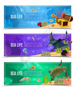 海上生活横幅套水下海洋生物的变体海底装饰横幅矢量插图图片
