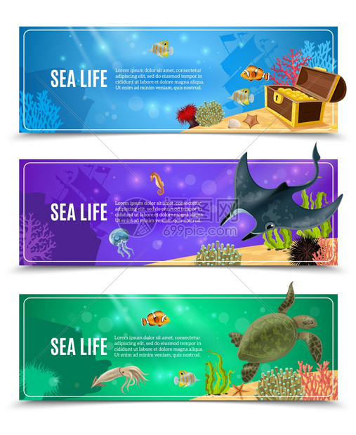 海上生活横幅套水下海洋生物的变体海底装饰横幅矢量插图图片