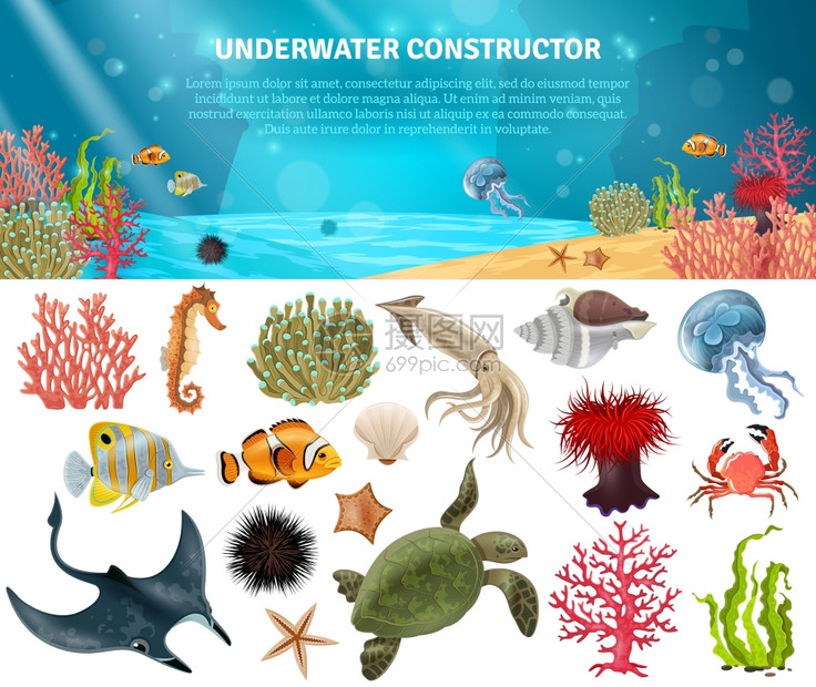 海洋生命构造函数隔离图标集海洋生物动植物景观卡通图标构造器矢量插图图片