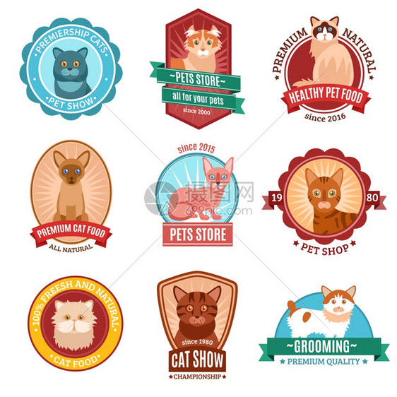 猫套装猫宠物店兽医诊所符号孤立矢量插图图片