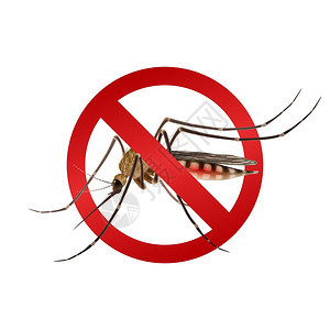 蚊子停止标志现实蚊子红色停止标志流行病预防矢量插图图片