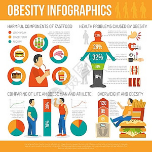肥胖信息记录矢量插图图片
