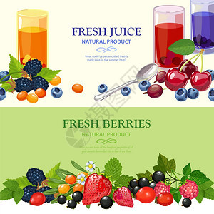 新鲜浆果2平横幅最好的野生花园栽培浆果2平水平横幅与最美味的果汁抽象矢量插图图片