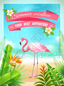 火烈鸟异国情调的暑假海报异国情调的海滩天堂度假广告海报与粉红色火烈鸟热带植物叶抽象矢量插图图片