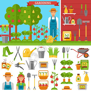 花园里种植蔬菜水果花园中种植蔬菜水果,用地栅栏种子,发芽,肥料工具,收获矢量插图图片