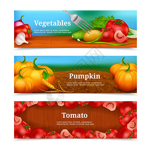 蔬菜水平横幅三个彩色的水平横幅与蔬菜蔬菜杂货店沙拉南瓜田间番茄框架矢量插图图片