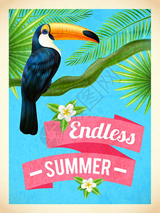 巨嘴鸟暑假平海报无尽的暑假旅行海报与巨嘴鸟芙蓉花雨林抽象矢量插图图片