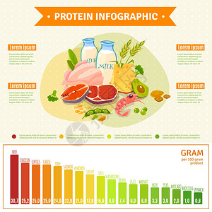健康蛋白质食品信息平海报信息海报关于蛋白质丰富的健康营养与文本图信息元素平抽象矢量插图背景图片