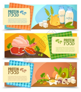 蛋白质食品平水平横幅健康饮食3水平平横幅信息的高蛋白食品抽象分离载体插图背景图片