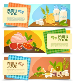 蛋白质食品平水平横幅健康饮食3水平平横幅信息的高蛋白食品抽象分离载体插图图片