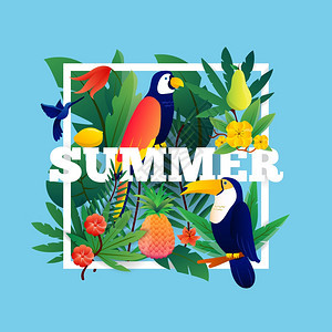 夏季热带框架夏季热带框架与植物,水果鸟类矢量插图图片