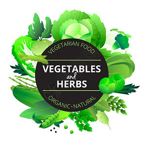 蔬菜草药圆形绿色框架天然机蔬菜草本植物圆形框架与卷心菜,西芹豌豆绿色抽象矢量插图图片