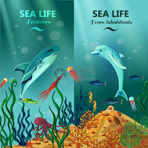 海底生活垂直横幅彩色垂直海洋生物横幅与平捕食者居民的水下珊瑚礁平矢量插图图片
