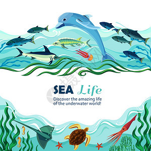 海底生活卡通插图卡通矢量插图海洋生物与异国情调的水下居民浅滩鱼类海洋波浪背景图片