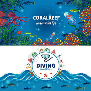 海底生活水平横幅海洋生物水平横幅与彩色图像的珊瑚礁,异国情调的水下动物潜水广告平矢量插图图片