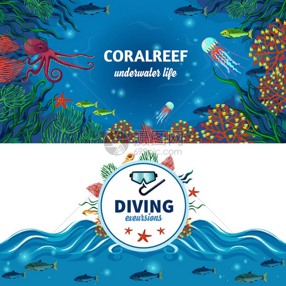 海底生活水平横幅海洋生物水平横幅与彩色图像的珊瑚礁,异国情调的水下动物潜水广告平矢量插图图片