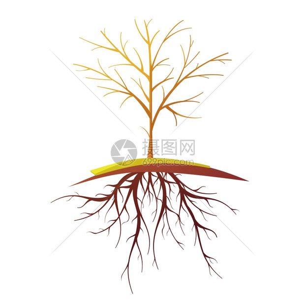 树与根复古卡通插图单小秃树与根白色背景平复古漫画孤立矢量插图