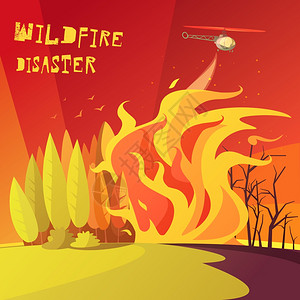 火海报野火灾难插图彩色卡通插图野火灾害描绘燃烧森林矢量插图插画