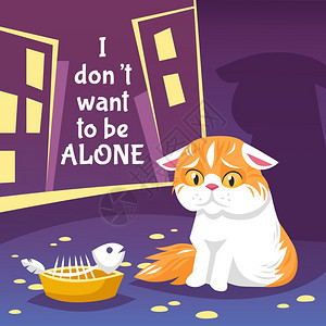 无家可归的猫插图无家可归的猫平背景猫单独矢量插图街头海报中的猫无家可归的悲伤猫装饰插图图片