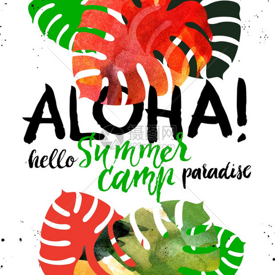 手绘热带植物背景草图水彩矢量插图与手工刻字帕拉迪萨夏令营海报阿罗哈图片