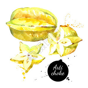 水彩手画新鲜黄色水果杨桃白色背景上的孤立机自然生态矢量图图片