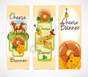 天然奶酪食品分类彩色装饰垂直横幅矢量插图图片