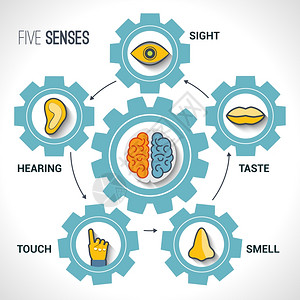 五感与人体器官图标大脑齿轮矢量插图插画