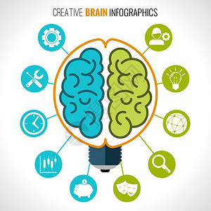 创造的大脑信息半球灯泡智力创造力符号矢量插图图片