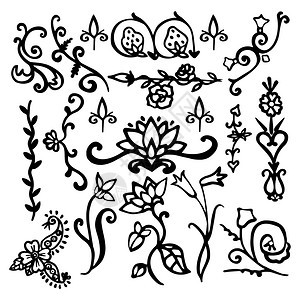 复古花卉书法黑色装饰元素素描与花卉孤立矢量插图背景图片
