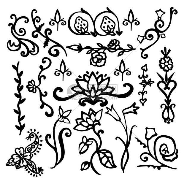 复古花卉书法黑色装饰元素素描与花卉孤立矢量插图图片