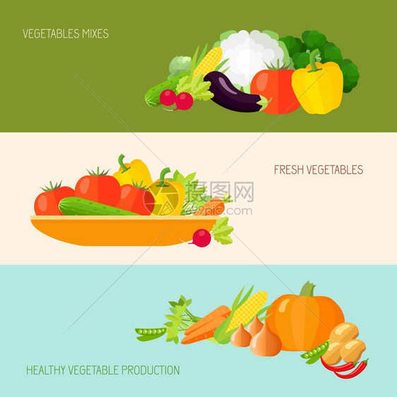 蔬菜新鲜健康生产水平横幅孤立矢量插图图片