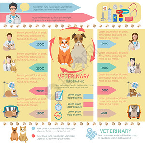 兽医信息平集与宠物保健元素矢量插图图片