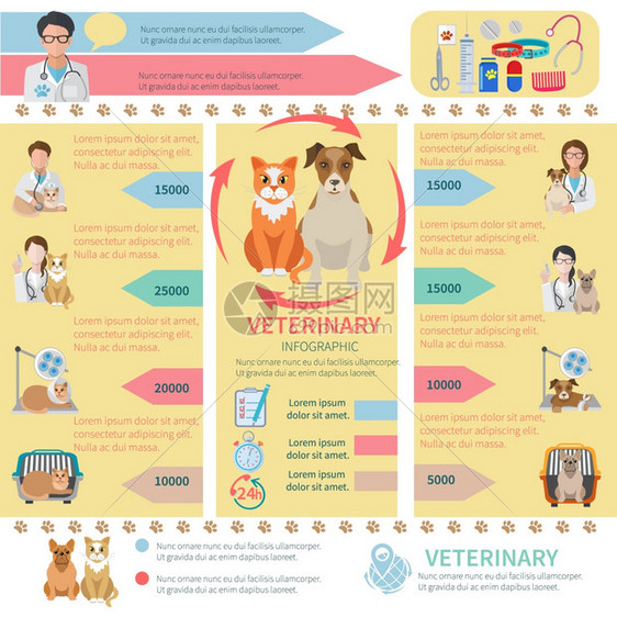 兽医信息平集与宠物保健元素矢量插图图片