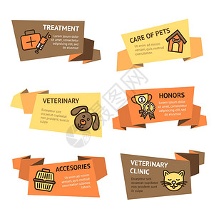 兽医纸横幅与宠物治疗诊所配件隔离矢量插图图片