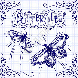 蝴蝶昆虫蓝色涂鸦与花卉装饰方形背景矢量插图图片