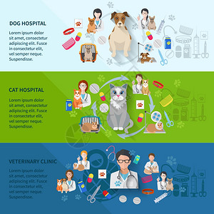 兽医诊所平水平横幅狗猫医院隔离矢量插图图片