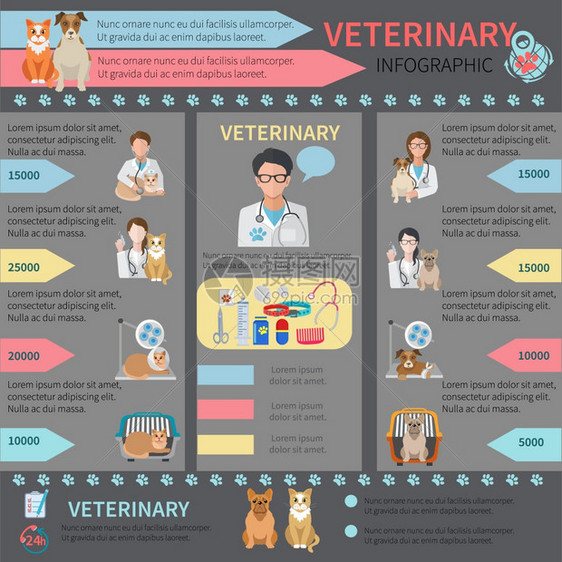 兽医平信息图集与宠物医生动物矢量插图图片