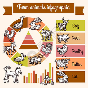 农场信息集与草图动物图表矢量插图图片