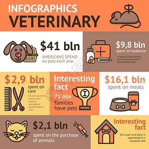 兽医信息图集与宠物健康动物医生元素矢量插图图片